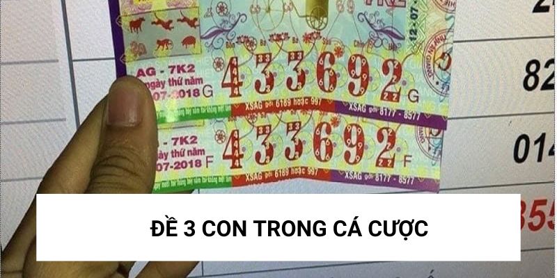 Đề 3 con trong cá cược