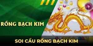 Soi cầu rồng bạch kim